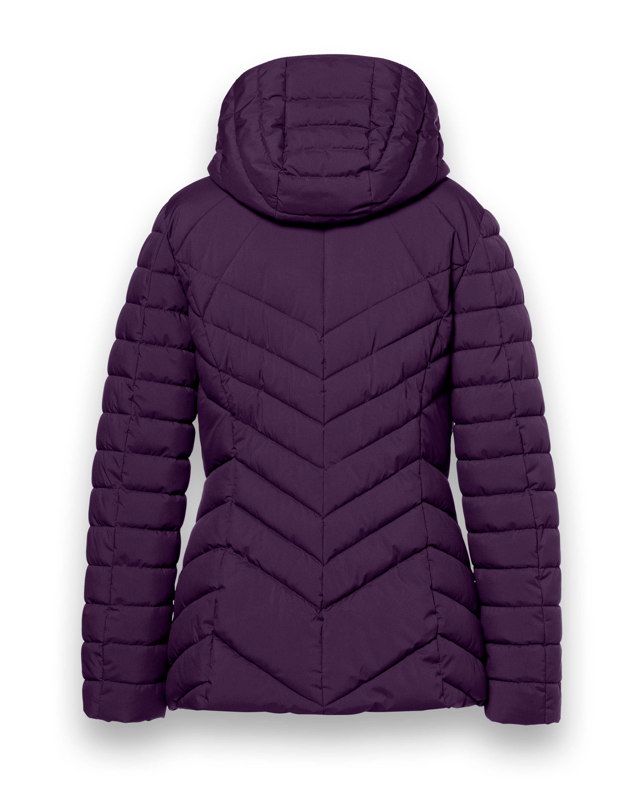 COOKIE Dark Plum