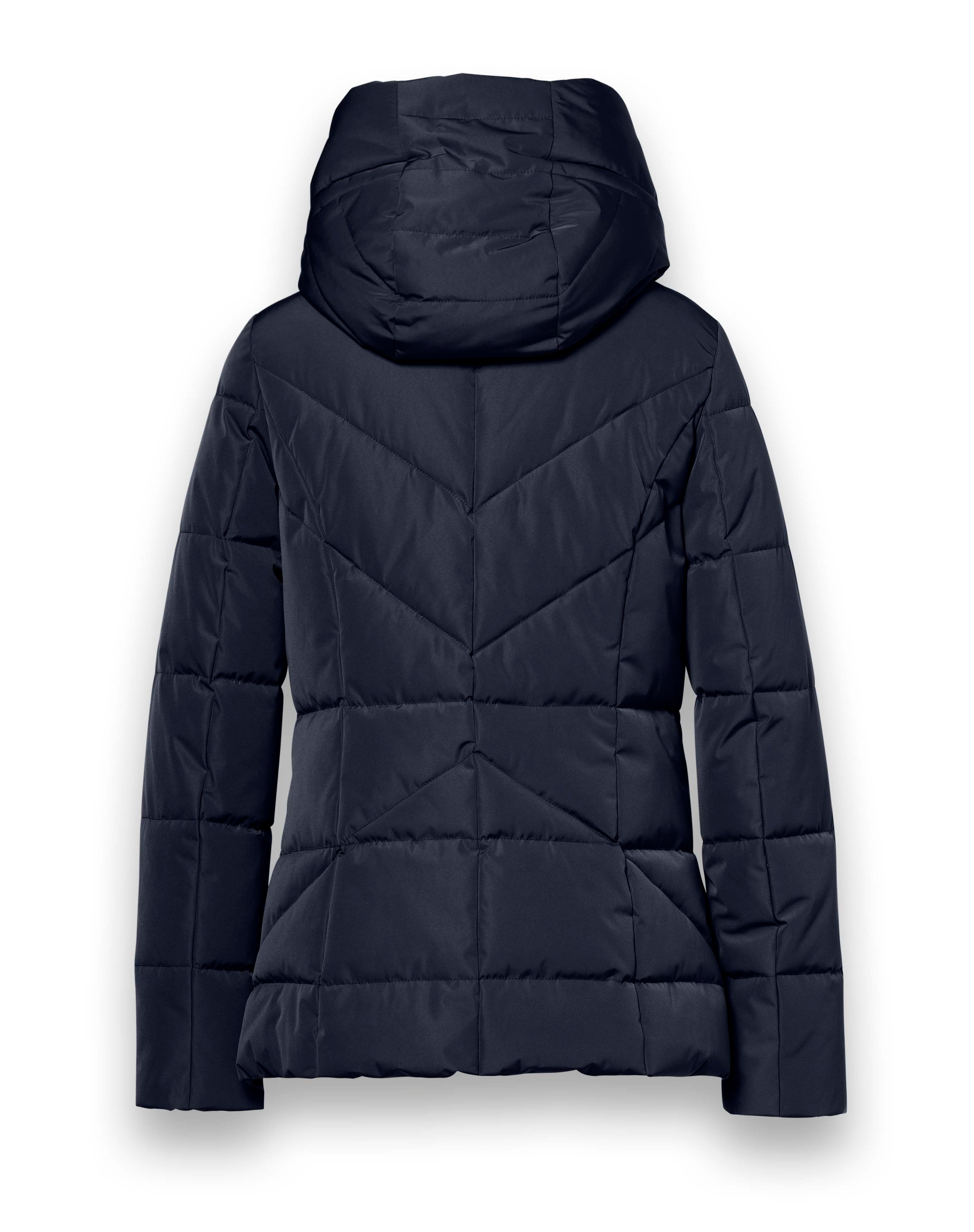 BISCUIT Dark Navy